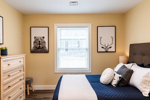 Floor plan for 1 bed, 1 bath, 1017 sqft